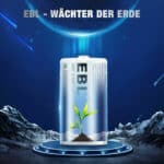 EBL 2 x D 1,2V 10000mAh NIMH – Bild 10