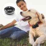 EBL Knopfzelle 2x PetSafe RFA-67 210mAh – Bild 2