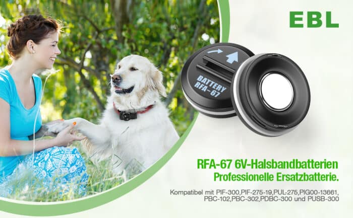 EBL Knopfzelle 2x PetSafe RFA-67 210mAh – Bild 3