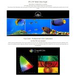 SEETEC 4K215-9HSD-CO 1920 x 1080 21,5 Zoll SDI / HDMI-Full-HD-Director-Box-Kamera-Feldmonitor – Bild 8