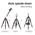 TRIOPO T259G + Q2 Verstellbares tragbares Kohlefaser-Stativ mit Q-2-Kugelkopf für Spiegelreflexkamera – Bild 6