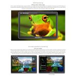 FEELWORLD LUT11S 10,1 Zoll ultraheller 2000nit Touchscreen DSLR-Kamera-Feldmonitor, 3G-SDI 4K HDMI Eingang Ausgang 1920 x 1200 IPS-Panel, LUT11S – Bild 12