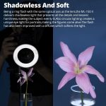 Godox ML-150II On-Camera-Makro-Ringblitzlicht mit 8 unterschiedlich großen Adapterringen, ML-150II – Bild 6