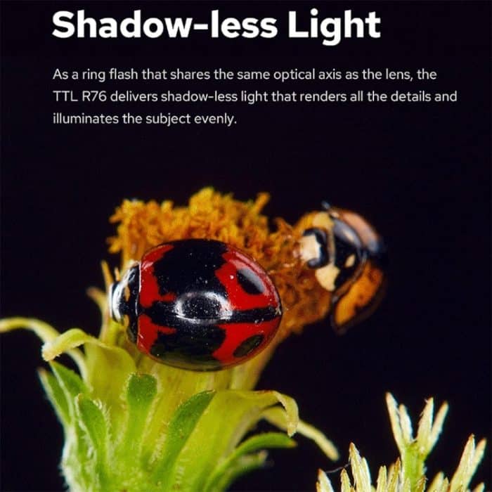 Godox MF-R76C TTL-Makro-Ringblitz für Canon – Bild 7