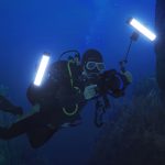 Godox WT40D Wasserdichtes Röhrenlicht, 40 cm, weißes Foto-/Video-Fülllicht – Bild 3