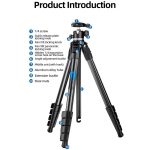 BEXIN TA255-BS30 Portable Collapsible Aluminum Alloy Camera Tripod with Head, TA255-BS30 – Bild 3