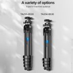 BEXIN TA255-BS30 Portable Collapsible Aluminum Alloy Camera Tripod with Head, TA255-BS30 – Bild 10