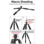 BEXIN W-334C Portable DSLR Camera 2 in 1 Carbon Fiber Tripod Detachable Monopod, W-334C – Bild 3