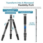 BEXIN W-334C Portable DSLR Camera 2 in 1 Carbon Fiber Tripod Detachable Monopod, W-334C – Bild 9