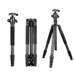 BEXIN W284C H36 Professionelles Fotostativ aus Kohlefaser für DSLR-Kameras – Bild 2