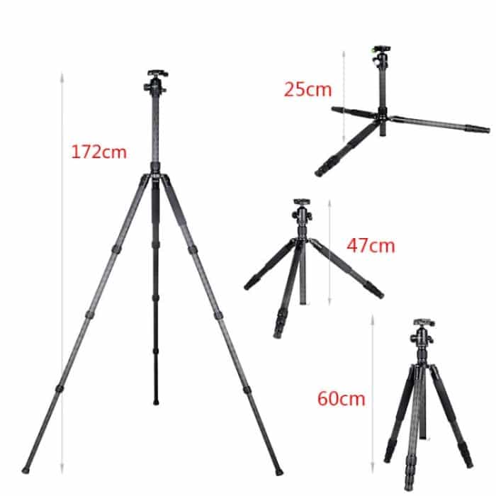 BEXIN W284C H36 Professionelles Fotostativ aus Kohlefaser für DSLR-Kameras – Bild 5