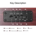 Q8 Bluetooth 4.2 Klassischer Bluetooth-Lautsprecher mit Doppelhörnern aus Holz, Q8(Red Wood Texture), Q8(Walnut Texture) – Bild 2