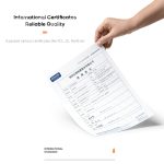 ROCK H11 4,8 A 24 W Mini-Dual-USB-Autoladegerät, H11 – Bild 7