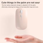 FOREV FVW312 1600 dpi Bluetooth 2,4 G Wireless Dual Mode Maus, Bluetooth + 2.4G(White), Bluetooth + 2.4G(Black), Bluetooth + 2.4G(Pink), Bluetooth + 2.4G(Purple), Bluetooth + 2.4G(Yellow), Bluetooth + 2.4G(Blue), Bluetooth + 2.4G(Mint Green)... – Bild 2