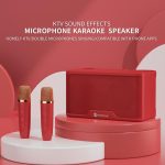 NR8088 Drahtloses Mikrofon TWS Handheld Noise Cancelling Smart Bluetooth-Lautsprecher – Bild 3