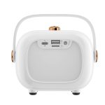 NR138W Drahtloses Mikrofon TWS Handheld Noise Cancelling Tragbarer intelligenter Bluetooth-Lautsprecher – Bild 2