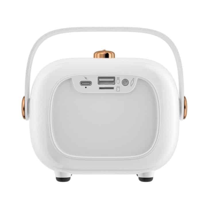 NR138W Drahtloses Mikrofon TWS Handheld Noise Cancelling Tragbarer intelligenter Bluetooth-Lautsprecher – Bild 2