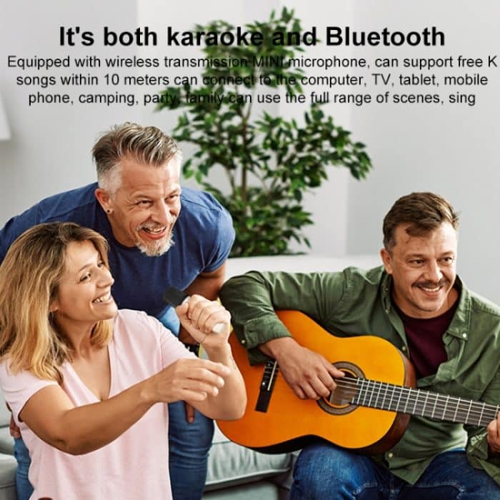 WK D43 Mini-Karaoke-Bluetooth-Lautsprecher – Bild 6