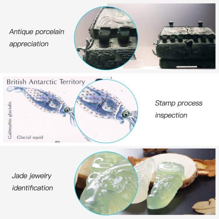 AN104 1000X 3-in-1-Digitalmikroskop mit Spiralrohrhalterung – Bild 6