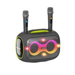 HOPESTAR Party Box 120 W Karaoke-Bluetooth-Lautsprecher mit 2 Mikrofonen