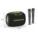 HOPESTAR Party Box 120 W Karaoke-Bluetooth-Lautsprecher mit 2 Mikrofonen – Bild 2