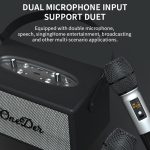 Oneder D7 Bluetooth-Lautsprecher für Outdoor-Karaoke, kabellose Lautsprecher mit zwei Mikrofonen – Bild 4