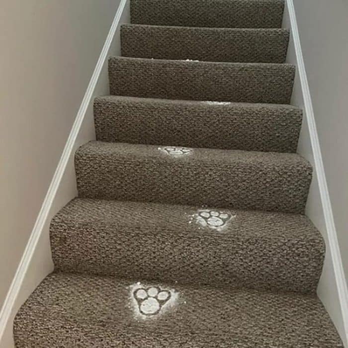 Acryl-Osterhasen-Fußabdruck-Vorlage, Single Footprint, Dual Footprint – Bild 5