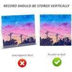 An der Wand montierter, lochfreier Schallplattenständer aus Acryl, 6pcs, 18pcs, 30pcs – Bild 5