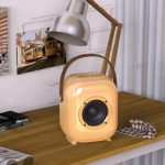 NewRixing NR168W Tragbarer bunter Bluetooth-Lautsprecher für Zuhause, Dual-Mikrofon, Karaoke-Lautsprecher – Bild 3