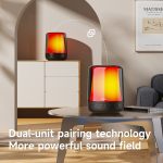 Zealot S66M RGB Rhythmisches Licht – Kabelloser Karaoke-Lautsprecher, Single Mic, Dual Mic – Bild 8