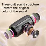 Zealot S61M RGB Rhythmisches Licht – Kabelloser Karaoke-Lautsprecher, Single Mic, Dual Mic – Bild 4