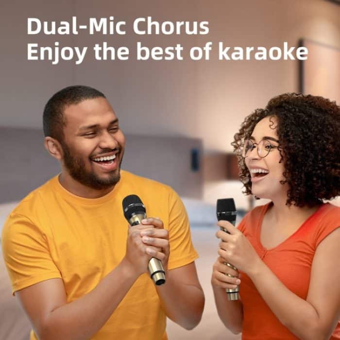 Zealot MT01M Retro Card Tragbarer kabelloser Bluetooth-Lautsprecher mit zwei Mikrofonen, MT01 + 2 Mic – Bild 9