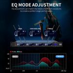 M6604S-H Diversity Drahtloses Mikrofonsystem 4-Kanal UHF Handmikrofon – Bild 7