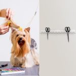 YX162 Acrylic Scissors Wall Mount Bracket, YX162 – Bild 7