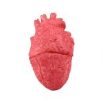 Beliebte lustige Halloween Requisiten gefälschtes Herz – Bild 2