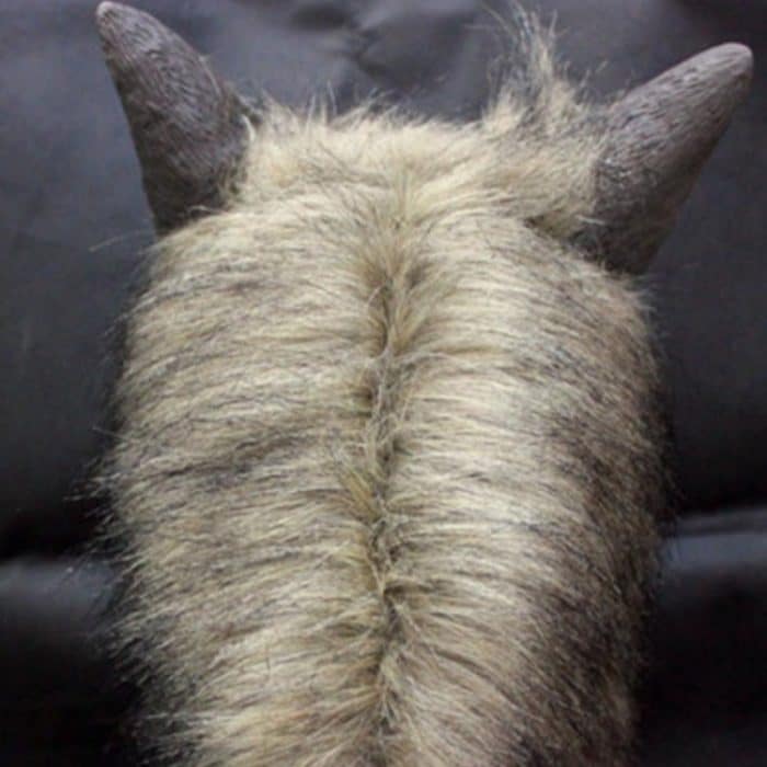 Halloween-Maske Latex Wolf Kopf Kappe Halloween Festival Party Phantasie Maskerade Masken – Bild 4