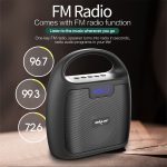 ZEALOT S42 Tragbarer FM-Radio-Bluetooth-Lautsprecher mit integriertem Mikrofon, unterstützt Freisprechen, TF-Karte und AUX – Bild 3
