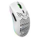HXSJ T66 7 Tasten Bunte Beleuchtung Programmierbare kabellose Gaming-Maus, T66(White), T66(Black)