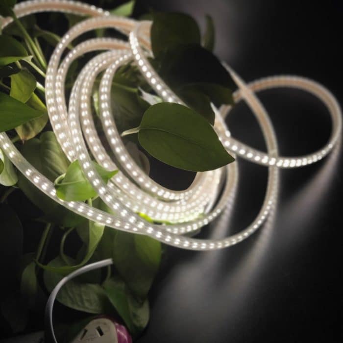 10 m SMD 2835 1200 LEDs LED-Streifenlicht, AC 220 V-240 V, EU-Stecker, 10m – Bild 3