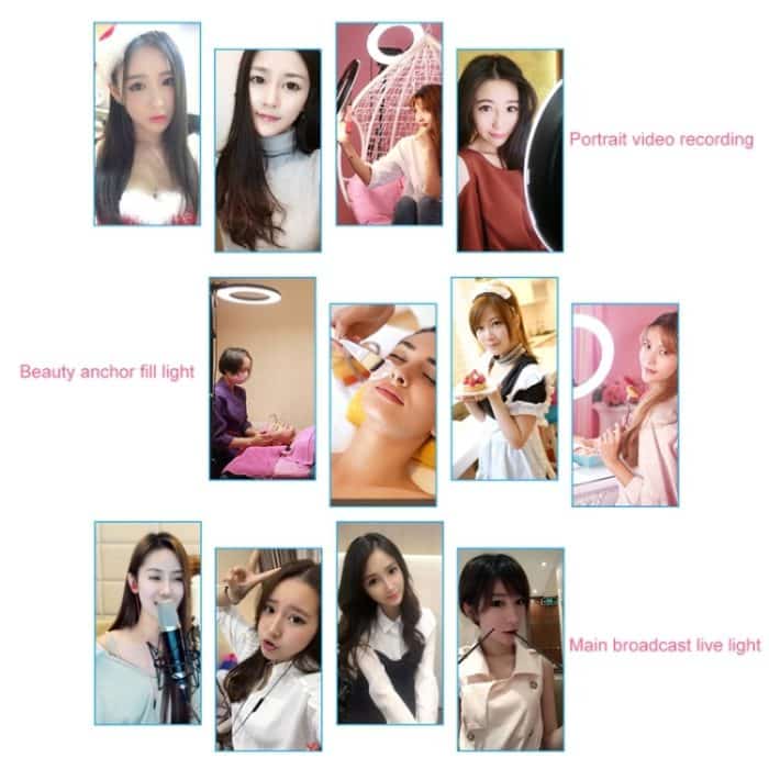 12-Zoll-Ankerfotografie Selbstauslöser-LED-Ring-Fülllicht – Bild 14