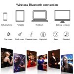 SD-306 2 in 1 Family KTV Tragbares kabelloses Live-Dual-Mikrofon + Bluetooth-Lautsprecher, SD-306(Black), SD-306(Pink), SD-306(Gold) – Bild 6