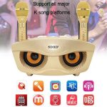 SD-306 2 in 1 Family KTV Tragbares kabelloses Live-Dual-Mikrofon + Bluetooth-Lautsprecher, SD-306(Black), SD-306(Pink), SD-306(Gold) – Bild 9