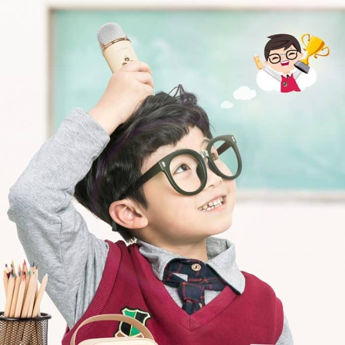 C20 Plus Multifunktionaler Karaoke-Bluetooth-Lautsprecher mit Mikrofon – Bild 8