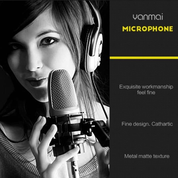 Kompatibel mit PC und Mac für Live-Übertragungen, KTV usw. – Bild 4