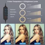 PULUZ Stativhalterung + Dual Broadcast Dual Phone Halterung + 6,2 Zoll 16 cm LED Ring Vlogging Video Light Kits – Bild 5