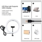 PULUZ 11,8 Zoll 30 cm Licht + 1,1 m Stativhalterung, gebogene Oberfläche, USB, 3 Modi, dimmbar, Dual-Farbtemperatur-LED-Ring, Vlogging-Videoleuchte, Live-Übertragungs-Sets mit Telefonklemme, 11.8 inch+1.1m Tripod – Bild 4