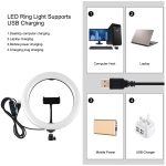 PULUZ 10,2 Zoll 26 cm Ringlicht + 1,1 m Stativhalterung, USB, 3 Modi, dimmbar, Dual-Farbtemperatur-LED, gebogenes diffuses Licht, Vlogging, Selfie-Fotografie, Videoleuchten mit Telefonklemme und Selfie-Fernbedienung, 10.2 inch+1.1m Tripod – Bild 4