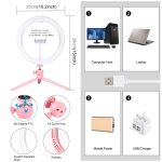 PULUZ 10,2 Zoll 26 cm Licht + Desktop-Stativhalterung, USB, 3 Modi, dimmbar, Dual-Farbtemperatur, LED, gebogener diffuser Lichtring, Vlogging, Selfie, Fotografie, Videoleuchten mit Telefonklemme, 10.2 inch + Desktop Tripod, 10.2 inch Curved+Tripod – Bild 3