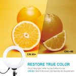 PULUZ 6,2 Zoll 16 cm RGBW-Licht + Desktop-Halterung mit rundem Sockel, dimmbare USB-LED-Ring-Vlogging-Fotografie-Videoleuchten mit Kaltschuh-Stativ-Kugelkopf und Fernbedienung, Desktop Mount + 6.2 inch RGBW / Remote – Bild 10