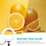 PULUZ 6,2 Zoll 16 cm RGBW-Licht + Desktop-Stativhalterung + USB-dimmbare LED-Ring-Vlogging-Fotografie-Videoleuchten mit Kaltschuh-Stativ-Kugelkopf und Fernbedienung, Tripod Mount + 6.2 inch RGBW / Remote – Bild 10